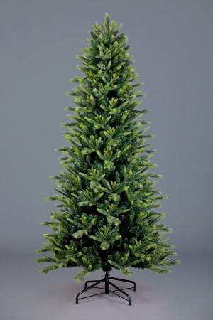 Ель Карпатская 6