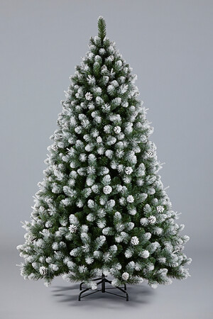 Ель Рождественская 2 (белые кончики, шишки)