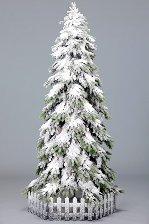 Ель Альпийская (снег)