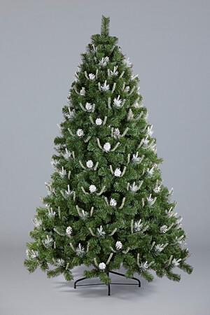 Ель Рождественская 2 (побеги, белые кончики, шишки)