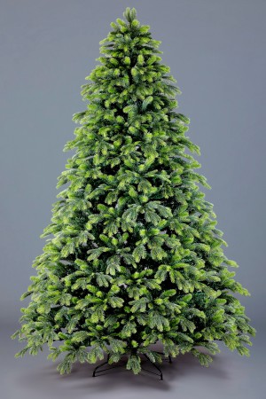 Ель Крымская 2