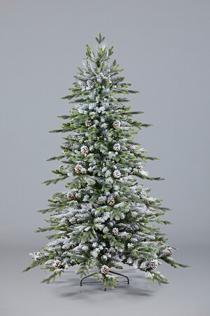 Ель Эльбрусская (иней)